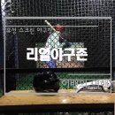 리얼야구존 대전유성점 네이버블로그