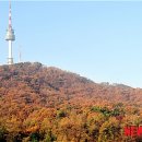 남산 이미지