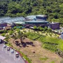 감귤박물관 위 이미지