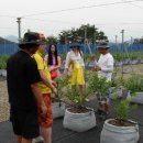 참새농장 이미지