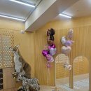 포포플레이키즈룸 | [서울 금호동 키즈카페] 트리니엘플레이 키즈룸 솔직후기