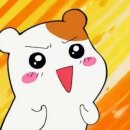 인더플럼 이미지