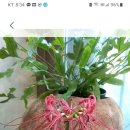 잘가또와 이미지