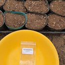 영고농장 이미지