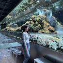 레인보우2 소형호텔 | 일산 대형카페 아쿠아가든 먹이주기 체험 이색 데이트로 추천