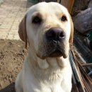 산전농장 이미지