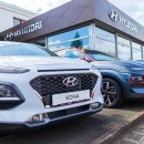 현대차·기아 호재 터졌다…한국인들 기뻐할 소식 이미지