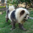 외돌개 나라 이미지