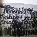 천서초등학교병설유치원 이미지