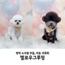 멜로우 그루밍 이미지