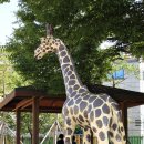 성당로47길 이미지