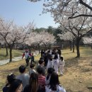 엘리트용인대국가대표태권도장 이미지