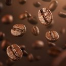 clean&farm | 에티오피아 케티쿰 테피 게이샤 워시드 커피원두 분석