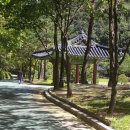 양지공원화장실 이미지