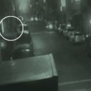 전봇대 옆 이미지