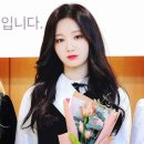 다빈 이미지
