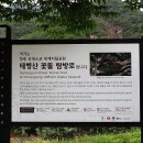 월외 이미지