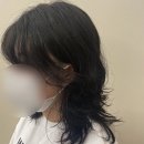 아르브헤어 arvv 이미지