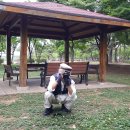 안산천1 이미지