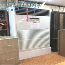 황금숙녀복 이미지