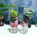 예슬어린이집 이미지