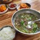 노스팜CC 티스토리