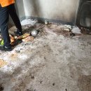 남중동-62 이미지