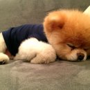 동글동글 이미지