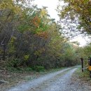 이화산등산로 이미지