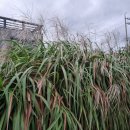 야후뽑기샵 이미지