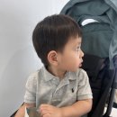 알밤 택배 이미지