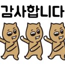 달래캐터리 이미지