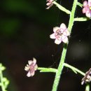 여로민박 이미지