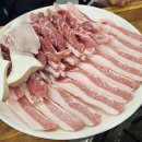 고향마당뒷고기