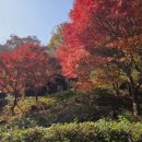 신선동-14 네이버블로그