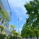 정부청사 입구(샘머리) 이미지