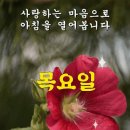 6월 29일 목요일 아침 출석 이미지