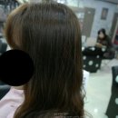 헤어갤러리 이미지