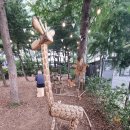 2025 서울국제정원박람회 : 돈방석에 앉게 해 드릴게요. 이미지