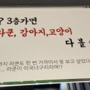 멍이와 쿤이 이미지