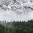 월드목장 이미지