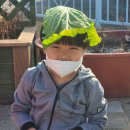 뽑고놀고 이미지