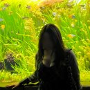 소라캣 | [서울데이트/서울놀거리/서울여행] 잠실 아쿠아리움/롯데월드 아쿠아리움 (with 쿠키런) 후기