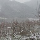 문척초등학교 이미지