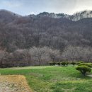 데미샘계곡펜션 | 진안 마이산 근처 가성비 좋은 숙소, 데미샘빌리지펜션 방문 후기
