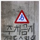 황새알로 이미지