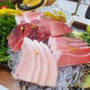 참치마참치