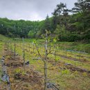 대추밭약국 이미지