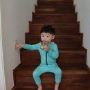 스테이외포 이미지