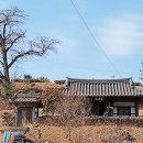 갈운정(葛雲亭) Daum카페
